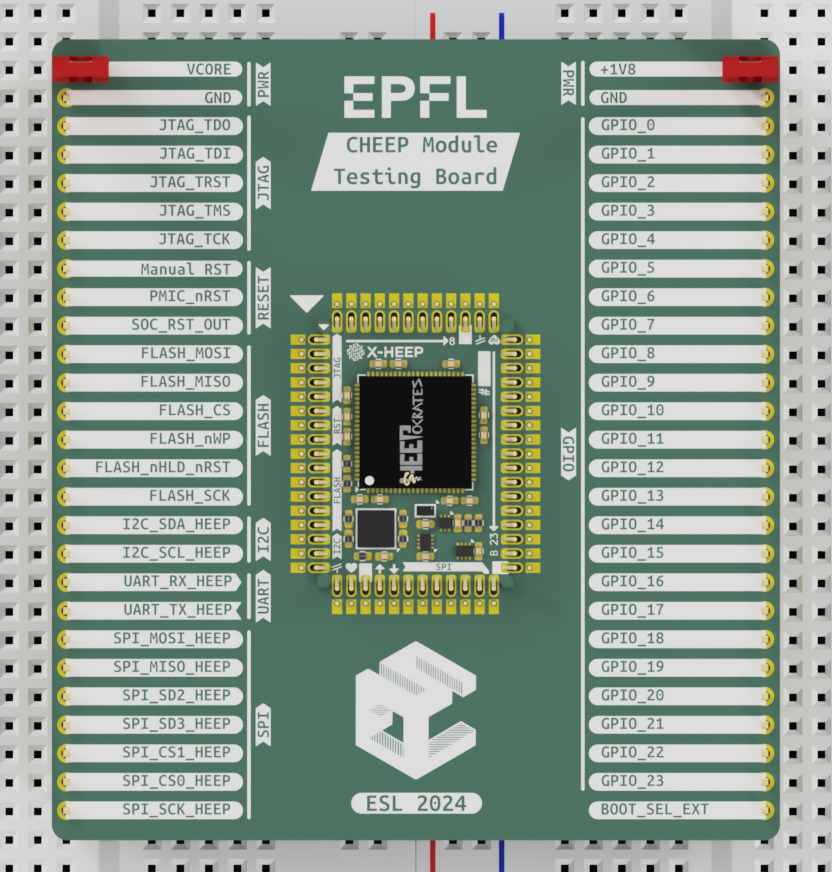 Figure 3: CHEEP module socket board